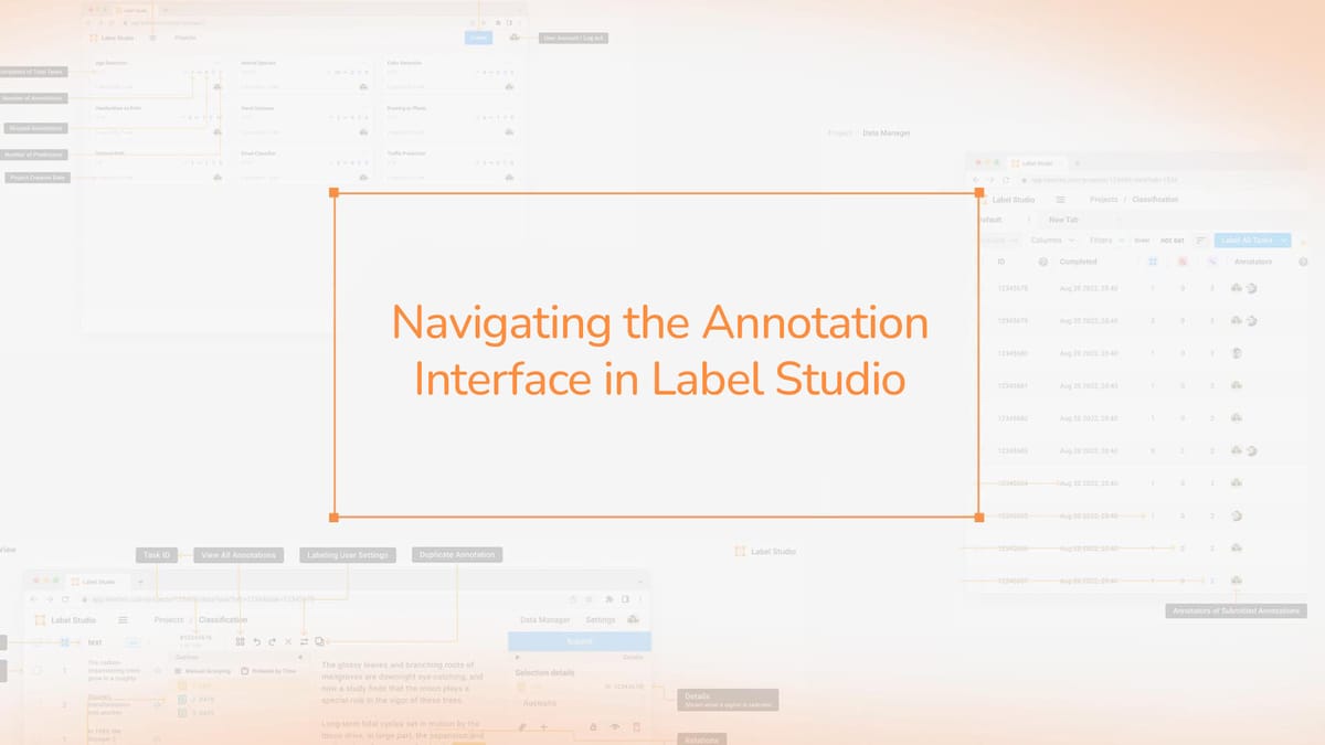 Navigating the Annotation Interface in Label Studio