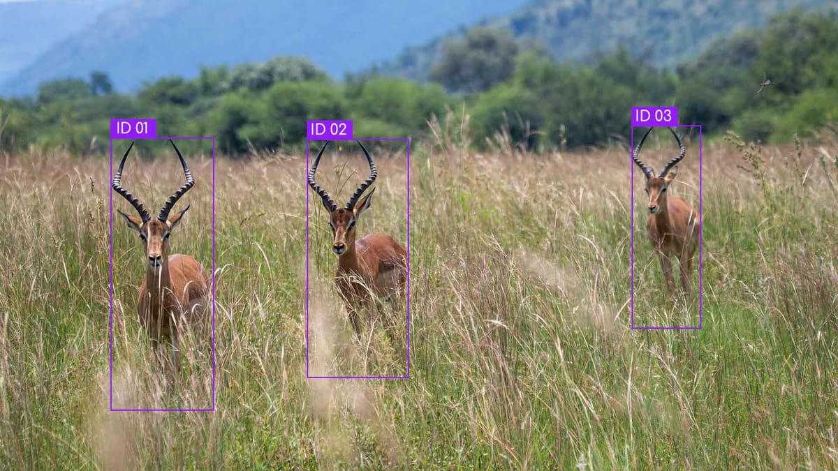 Accuracy and Precision Improvements in YOLOv10