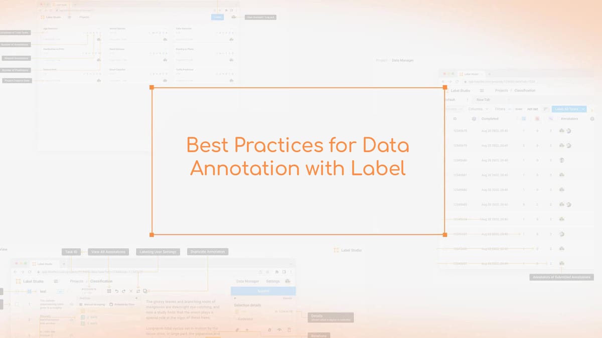 Best Practices for Data Annotation with Label Studio