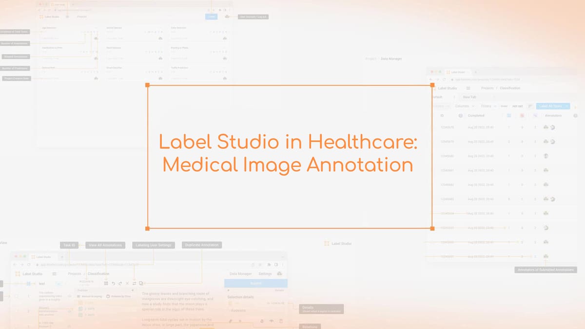 Label Studio in Healthcare: Medical Image Annotation